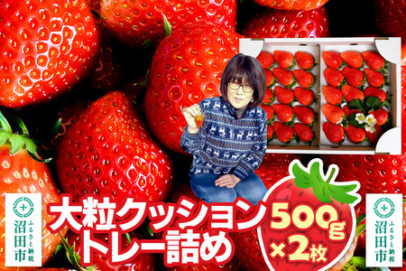 s2026N1{`2{t嗱NbVg[l߁u悢Ђ߁v500g×2 R  C`S 