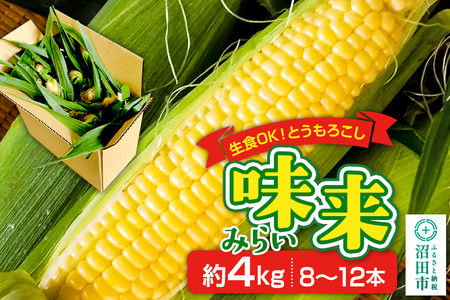 《7月中旬～9月中旬発送》とうもろこし 味来 約4kg（8～12本）