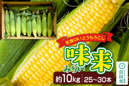 《7月中旬～9月中旬発送》とうもろこし 味来 約10kg（25～30本）