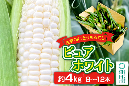 《7月下旬～9月中旬発送》とうもろこし ピュアホワイト 約4kg（8～12本）