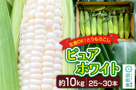《7月下旬～9月中旬発送》とうもろこし ピュアホワイト 約10kg（25～30本）