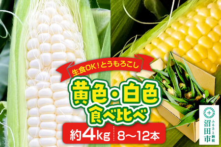《7月下旬～9月中旬発送》とうもろこし 味来・ピュアホワイト 約4kg（8～12本／おおむね半分ずつ）