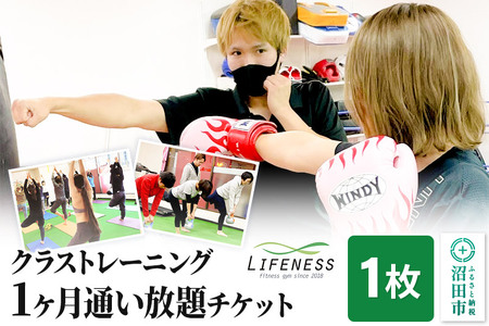 NXg[jO 1ʂ`Pbg 1 tBbglXWLIFENESS