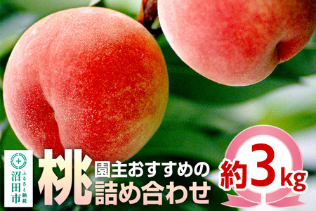 [7月上旬〜7月下旬にお届け] 園主おすすめの桃 約3kg 詰め合わせ 早生品種 ご自宅用 フルーツ王国松井