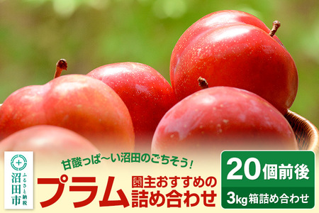《7月上旬～7月下旬発送》園主おすすめのプラム 3kg箱 詰め合わせ フルーツ王国松井