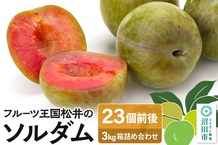 《7月下旬～8月上旬発送》プラム「ソルダム」3kg箱 フルーツ王国松井
