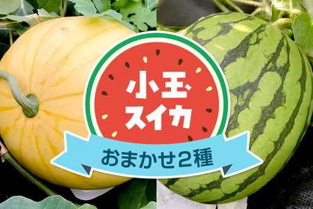 《7月中旬～9月中旬発送》食べ比べ 小玉スイカ 品種おまかせ2種