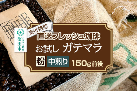 [受付焙煎]直送フレッシュ珈琲 お試し ガテマラ[粉/中煎り]約150g 珈琲倶楽部 沼田店