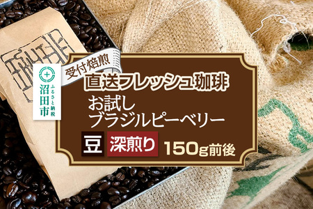 [受付焙煎]直送フレッシュ珈琲 お試し ブラジルピーベリー[豆/深煎り]約150g 珈琲倶楽部 沼田店