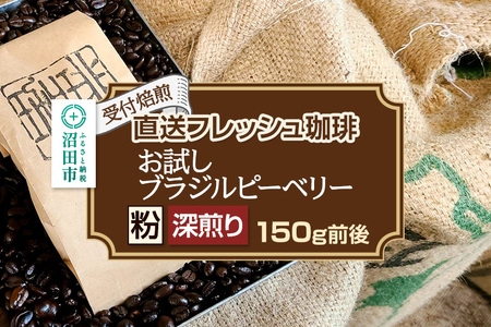 [受付焙煎]直送フレッシュ珈琲 お試し ブラジルピーベリー[粉/深煎り]約150g 珈琲倶楽部 沼田店