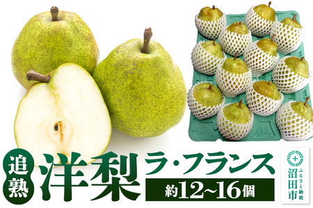 洋梨 追熟ラ・フランス 約12〜16個 果樹園マンサーナ