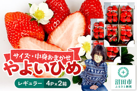 s2026N1{`2{tg܂u悢Ђ߁vM[pbN 250g 4pbN×2 R  C`S 