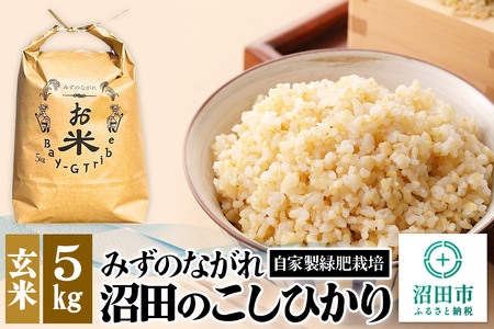 令和6年産 沼田のこしひかり「みずのながれ」玄米 5kg