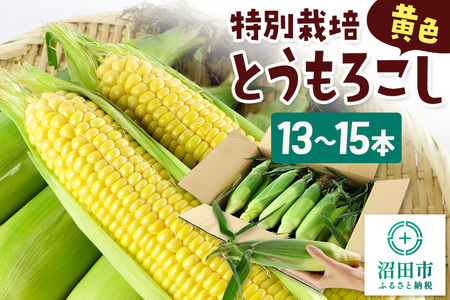《7月下旬～9月中旬発送》沼田市産 特別栽培のとうもろこし 13～15本 黄色 ゴールドラッシュ