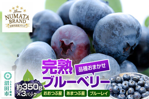 《6月下旬～7月下旬発送》品種おまかせ 完熟ブルーベリー 約350g×3パック 林ブルーベリー園