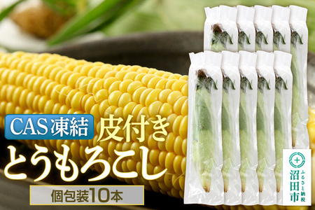 CAS cY t Ƃ낱 10{ Џc؎sꒇ