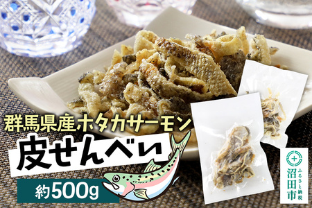 CAS QnYz^JT[点ׂ 500g Џc؎sꒇ