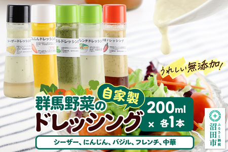 自家製・群馬産野菜で手作りドレッシング(シーザー、にんじん、バジル、フレンチ、中華)200ml×各1本 泙川食品