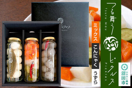 つる舞うピクルス 3本セット(ミックス/こんにゃく/うずら) 群馬県 沼田市