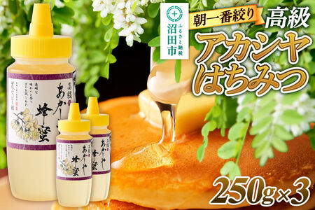 朝一番搾り! 高級アカシヤはちみつ 250g×3本 花みつばち館