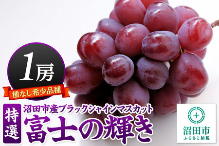[9月下旬〜11月上旬にお届け]沼田市産 特選 富士の輝き(ブラックシャインマスカット)1房 700g以上