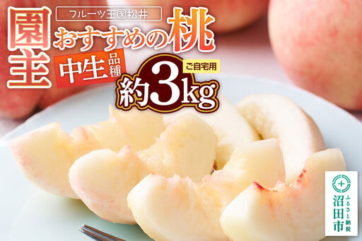 桃 園主おすすめの桃 中生(なかて)品種 約3kg 詰め合わせ ご自宅用 フルーツ王国松井