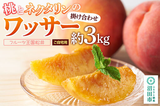 果物 桃とネクタリンの掛け合わせ「ワッサー」 約3kg ご自宅用 フルーツ王国松井