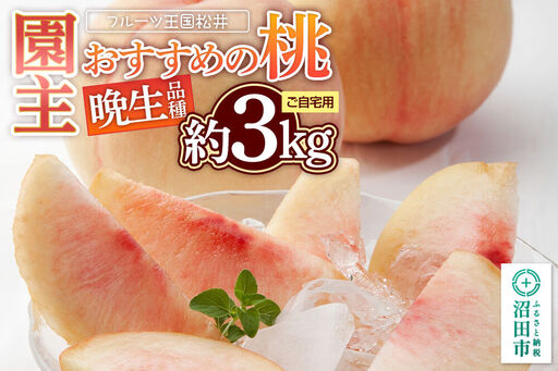 果物 園主おすすめの桃 晩生(おくて)品種 約3kg 詰め合わせ ご自宅用 フルーツ王国松井