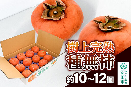 樹上完熟種無柿 1箱（約10～12個）