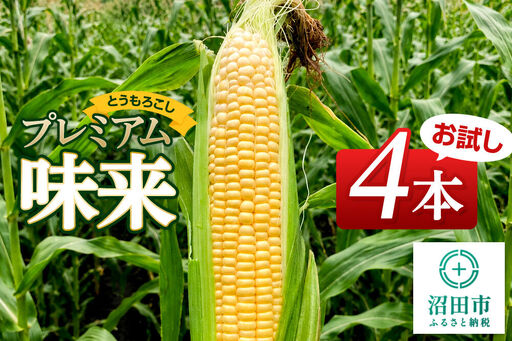 [7月下旬〜9月上旬発送]とうもろこし プレミアム味来 お試しセット(4本)山口いちご園