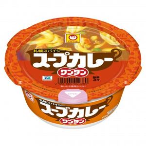 スープカレー ワンタン 12食_惣菜・加工品 スープ _