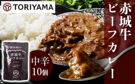 赤城牛 ビーフカレー（中辛）200g×10個 《ご当地レトルトカレーランキング全国第3位受賞》カレー レトルト 牛肉 銘柄牛 赤城牛 長期保存 群馬 渋川市 F4H-0469