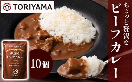 ちょっと贅沢なビーフカレー10個セット F4H-0473