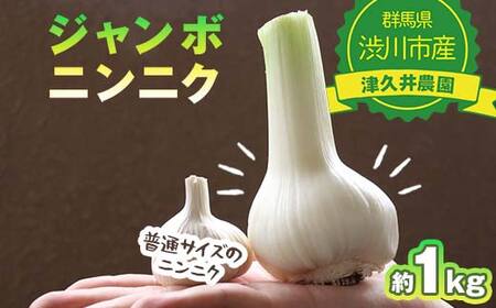 ジャンボニンニク 1kg 薬味 野菜 食品 F4H-0521