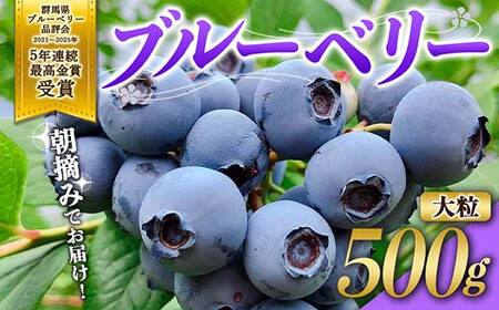 ブルーベリー大粒500g 朝摘みでお届け![5年連続最高金賞受賞 群馬県ブルーベリー品評会2021~2025年] 大粒 化学農薬不使用 除草剤不使用 フルーツ 果物