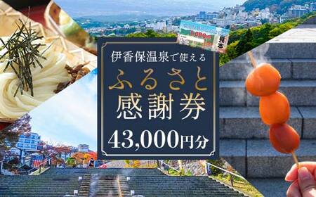 伊香保温泉で使えるふるさと感謝券 43,000円分（1000円×43枚） 伊香保温泉 うどん 宿泊 旅行 観光 ホテル 旅館 トラベル 飲食 お土産 F4H-0692