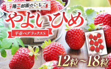 陽一郎園のいちご(やよいひめ)平並べデラックスS いちご イチゴ 苺 フルーツ 果物