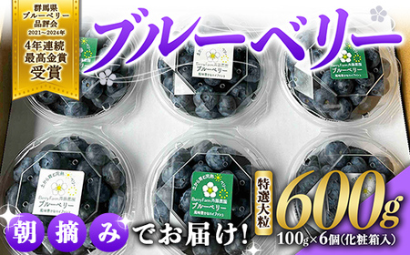 ブルーベリー特選大粒600g 朝摘みでお届け![4年連続最高金賞受賞 群馬県ブルーベリー品評会2021~2024年]化学農薬不使用 除草剤不使用 フルーツ 果物