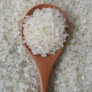 有機こしひかり白米450g×6袋(令和7年産)