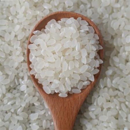 有機こしひかり白米450g×20袋(令和7年産)【1709190】