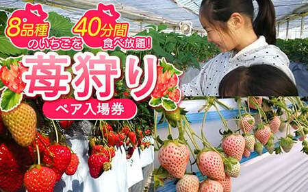 c 䕎yAꌔ(2l) Hו  c yA ꌔ 2   C`S t[c ʕ ̌ F21E-083