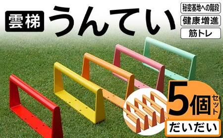 雲梯(うんてい)5個セット [だいだい] 雲梯 ウンテイ 健康 健康増進 ダイエット 筋トレ 屋根裏や秘密基地への階段 F21E-258