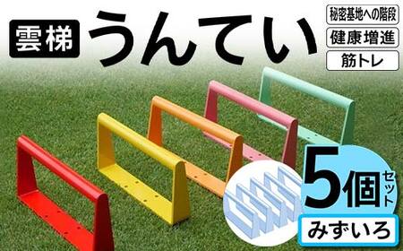 雲梯(うんてい)5個セット [みずいろ] 雲梯 ウンテイ 健康 健康増進 ダイエット 筋トレ 屋根裏や秘密基地への階段 F21E-263