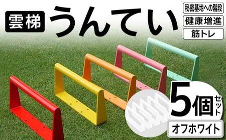 雲梯(うんてい)5個セット [オフホワイト] 雲梯 ウンテイ 健康 健康増進 ダイエット 筋トレ 屋根裏や秘密基地への階段 F21E-265