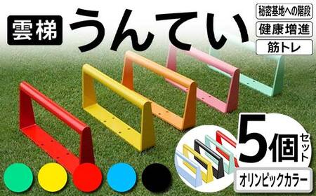 雲梯(うんてい)5個セット [オリンピックカラー] 雲梯 ウンテイ 健康 健康増進 ダイエット 筋トレ 屋根裏や秘密基地への階段 F21E-267