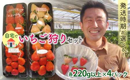 łZbg WEԂ3ށy2026N14?331z (e220gȏ×4pbN) QnY IWii   C`S  W Hה Zbg l ʕ t