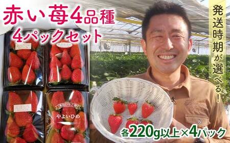 łZbgԂ4i큄y2026N14?331z v4pbN(e220gȏ) QnY   C`S Hה Zbg l ʕ t[c Hi F21E-250