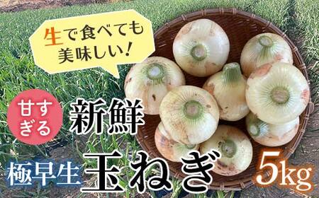 [2026年発送 先行予約]甘すぎる新鮮極早生玉ねぎ 5kg 減農薬減 化学肥料 生食 たまねぎ 玉ねぎ タマネギ 野菜 食品 F21E-465