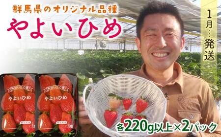 QnYZbg悢Ђ2pbNy2026N14`331z(e220gȏ×2pbN)  悢Ђ QnY IWii  C`S Zbg l ʕ t[c Hi F21E-