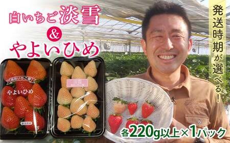 QnYZbg 悢Ђ߁EW၄y2026N31`515z (e220gȏ×1pbN) QnY IWii   C`S 悢Ђ C`S W Hה Zbg l